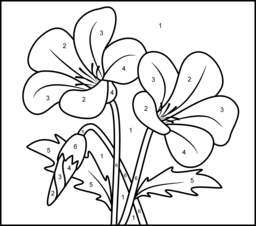 Campanula - Printable Color by Number Page