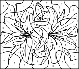 Lily - Printable Color by Number Page - Hard